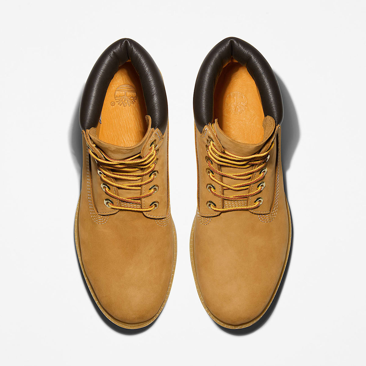 Timberland Premium 6-Inch Waterproof Boot Wheat rear
